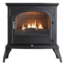 Eko Fires 6010 Black Flueless Gas Stove _ catalytic-flueless-gas-stoves