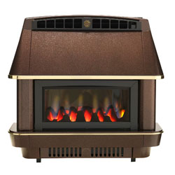 Robinson Willey Firecharm RS Balanced Flue Gas Fire